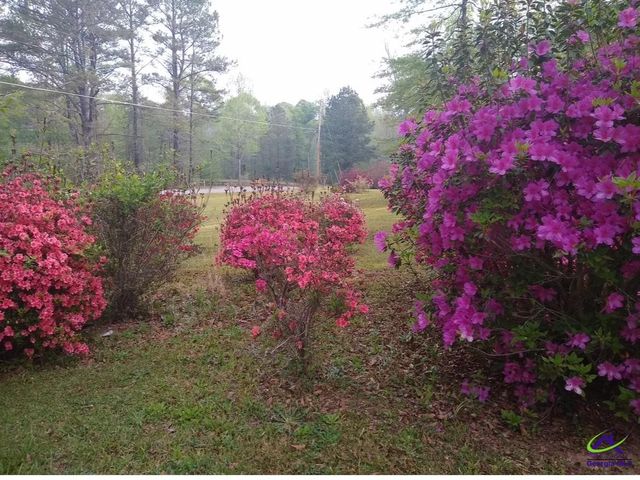148 Homestead Drive, Gray, GA 31032