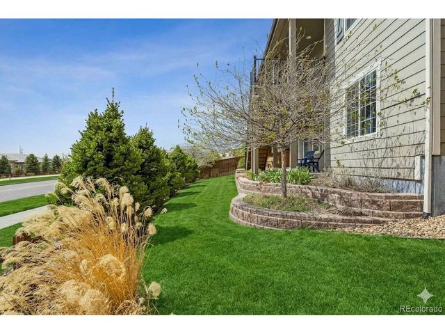14272 Double Dutch Cir, Parker, CO 80134