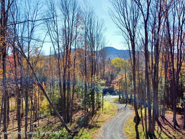 325 Route 25, Haines Falls, NY 12436