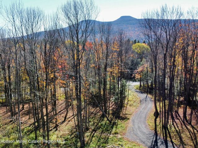 325 Route 25, Haines Falls, NY 12436