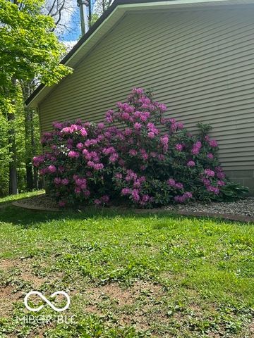 11806 E Pocahontas Drive, Greencastle, IN 46135