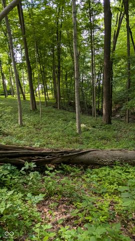 11806 E Pocahontas Drive, Greencastle, IN 46135