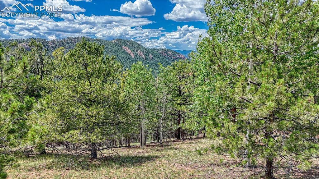 24 Wild Horse Circle, Cripple Creek, CO 80813 — exterior
