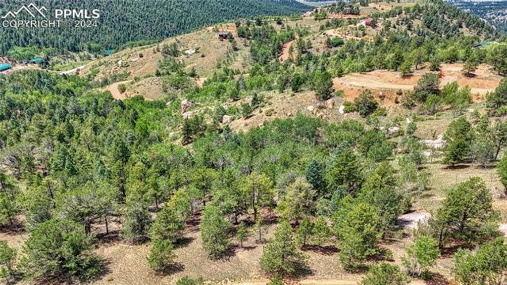 24 Wild Horse Circle, Cripple Creek, CO 80813 — photo 3