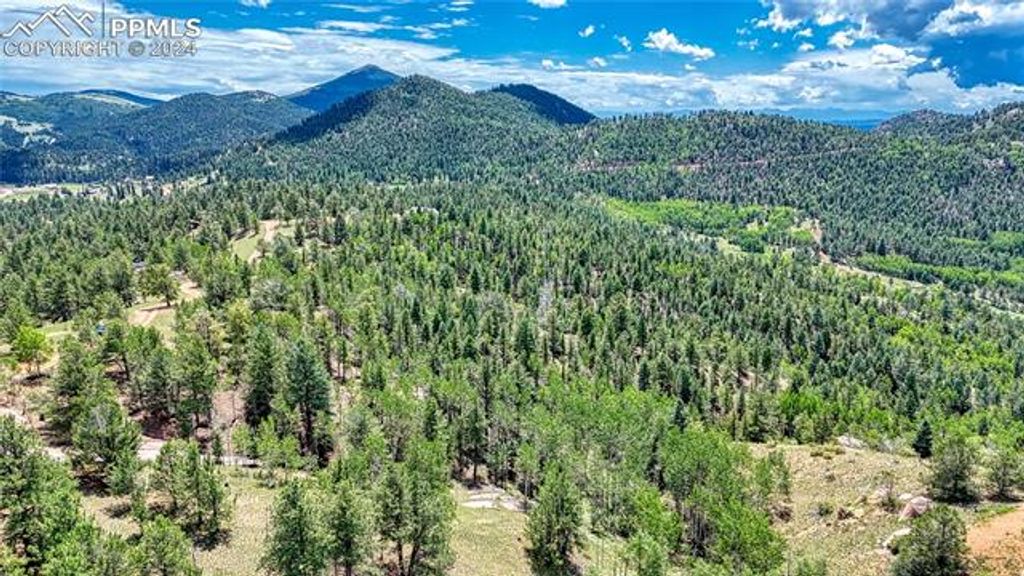 24 Wild Horse Circle, Cripple Creek, CO 80813 — photo 4