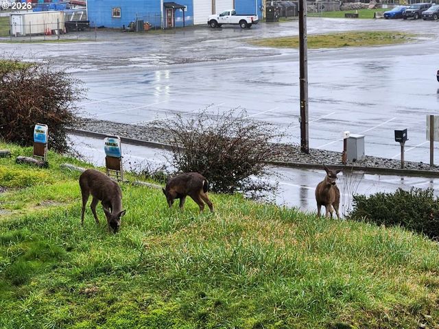16319 Lower Harbor Rd, Brookings, OR 97415
