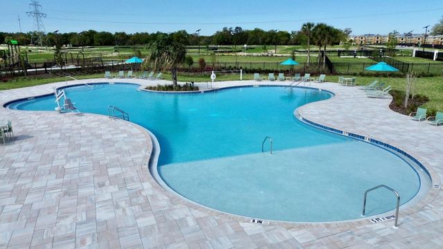 698 MUHLY WAY, Lady Lake, FL 32159