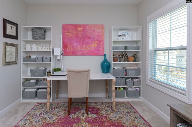 142 Almofini Lane, Chapin, SC 29036