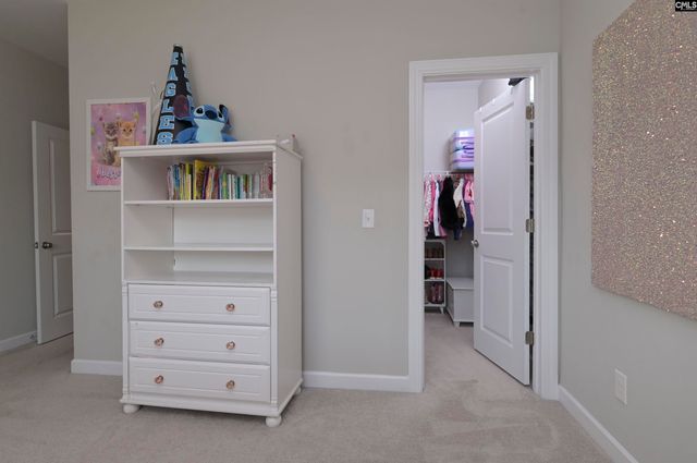 142 Almofini Lane, Chapin, SC 29036