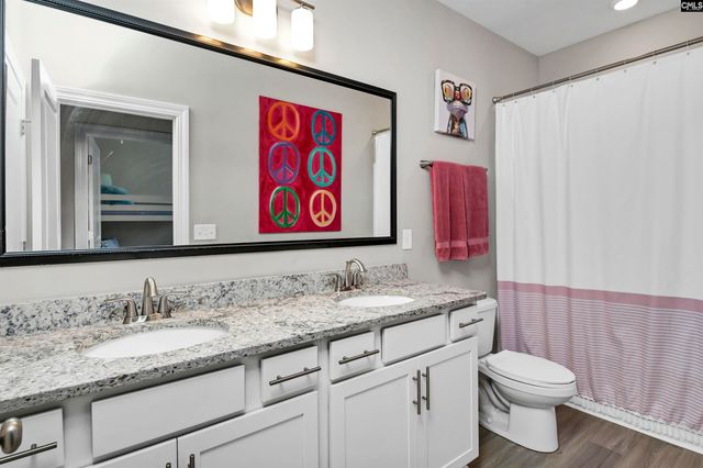 142 Almofini Lane, Chapin, SC 29036