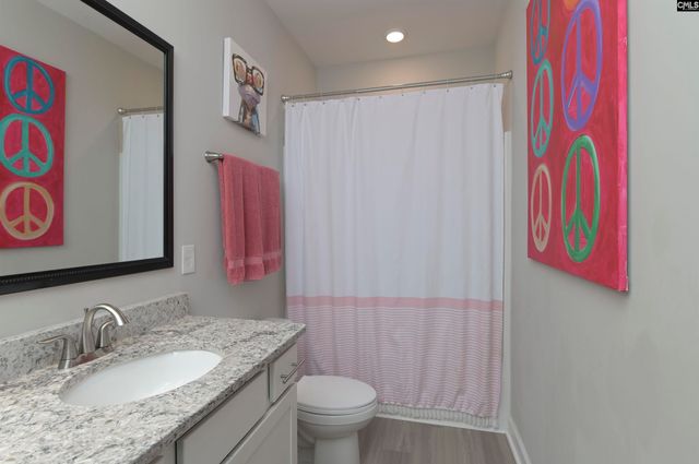 142 Almofini Lane, Chapin, SC 29036