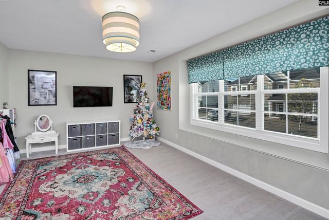 142 Almofini Lane, Chapin, SC 29036