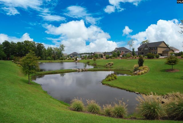 142 Almofini Lane, Chapin, SC 29036