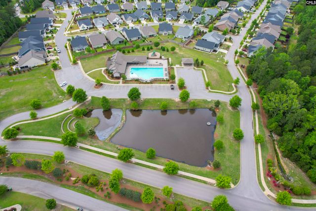 142 Almofini Lane, Chapin, SC 29036