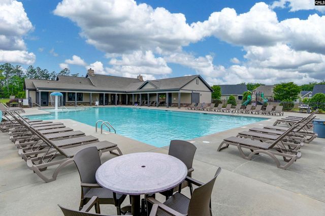 142 Almofini Lane, Chapin, SC 29036