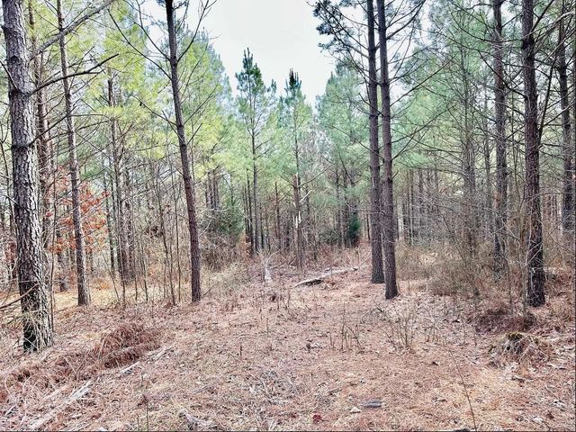 48 Ranches at Hickory Ridge, Dover, TN 37058