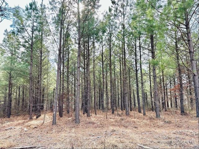 48 Ranches at Hickory Ridge, Dover, TN 37058