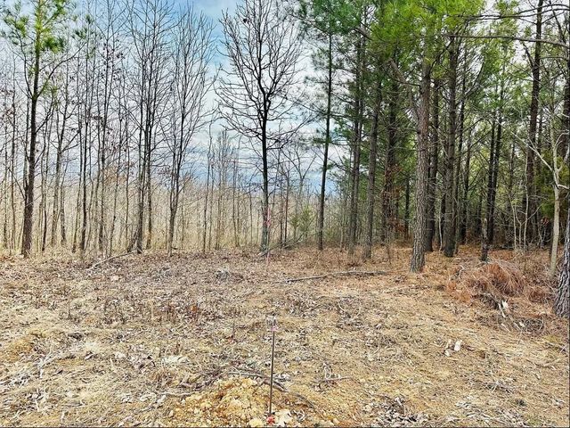 48 Ranches at Hickory Ridge, Dover, TN 37058