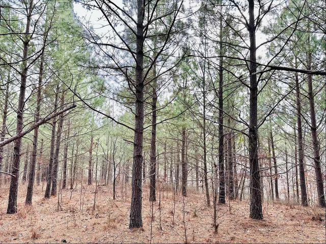 48 Ranches at Hickory Ridge, Dover, TN 37058
