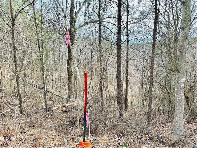 48 Ranches at Hickory Ridge, Dover, TN 37058