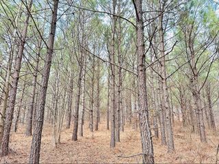 48 Ranches at Hickory Ridge, Dover, TN 37058