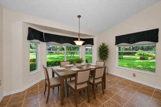 1253 EVENINGSIDE COURT, Trinity, FL 34655