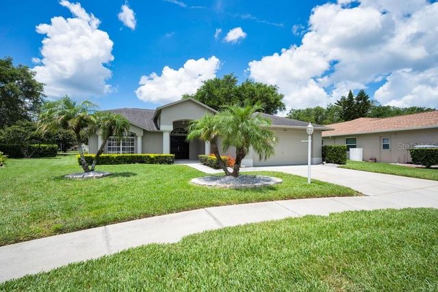 1253 EVENINGSIDE COURT, Trinity, FL 34655