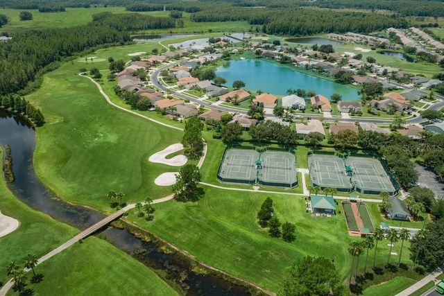1253 EVENINGSIDE COURT, Trinity, FL 34655