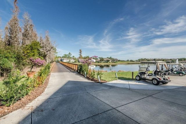 1253 EVENINGSIDE COURT, Trinity, FL 34655