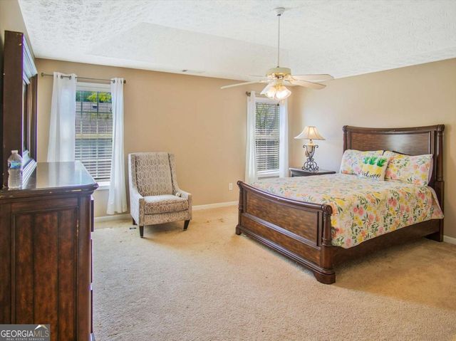 11474 Vinea Lane, Hampton, GA 30228