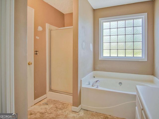 11474 Vinea Lane, Hampton, GA 30228