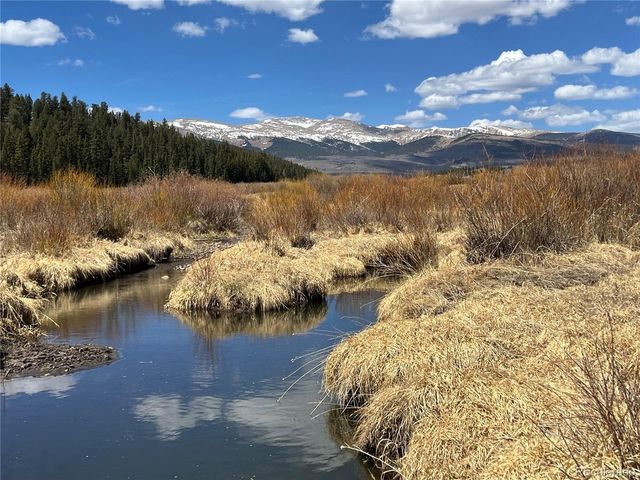 2867 Willow Creek Ln, Fairplay, CO 80440