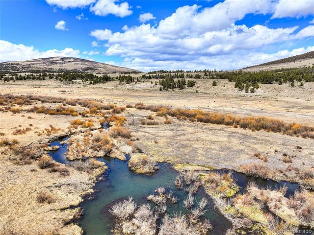 2867 Willow Creek Ln, Fairplay, CO 80440