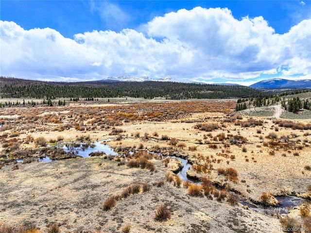 2867 Willow Creek Ln, Fairplay, CO 80440