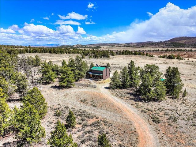 2867 Willow Creek Ln, Fairplay, CO 80440