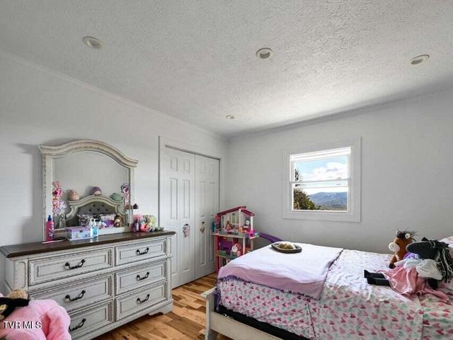 5200 Greene Mountain Road, Greeneville, TN 37743