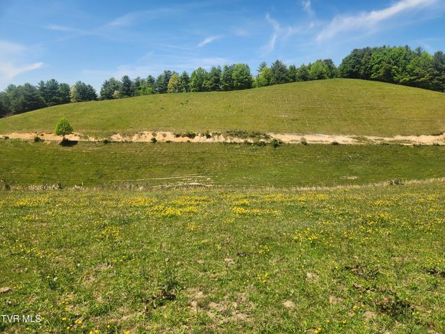 5200 Greene Mountain Road, Greeneville, TN 37743