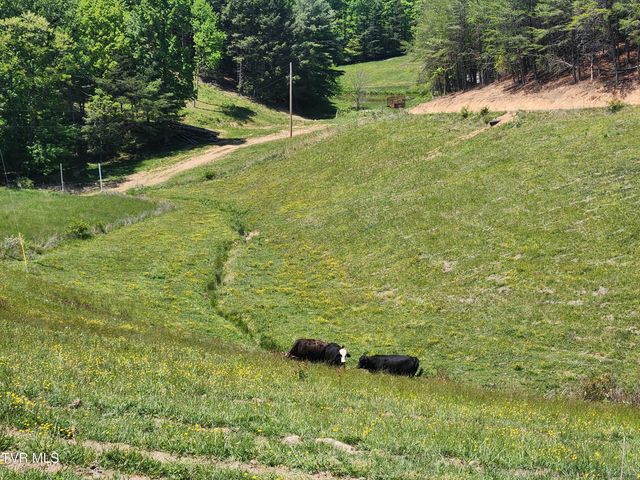 5200 Greene Mountain Road, Greeneville, TN 37743