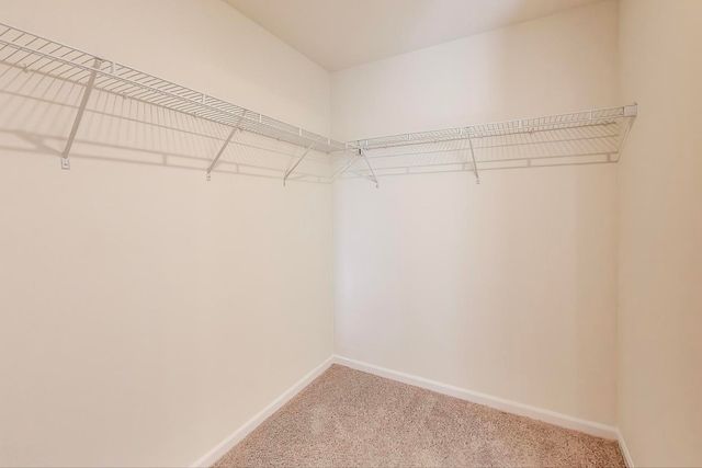 1003 Celebration Drive, Aurora, IL 60504