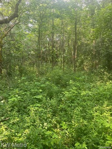 1135 N Baldwin Road, Brandon Charter Township, MI 48371