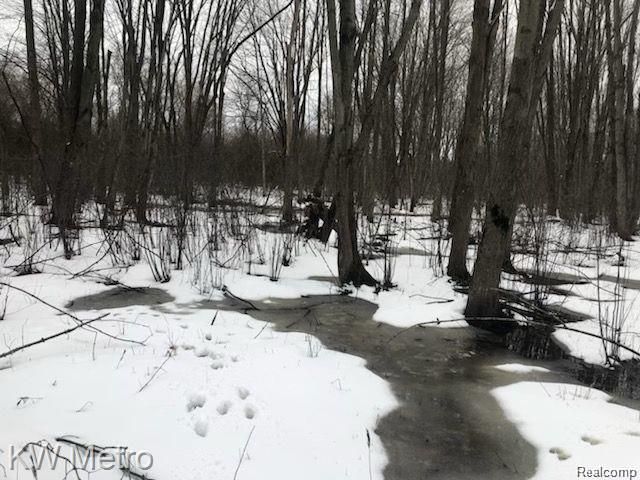 1135 N Baldwin Road, Brandon Charter Township, MI 48371