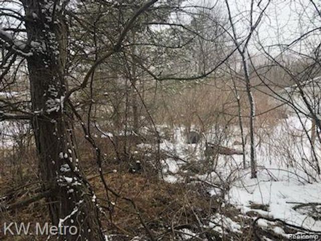 1135 N Baldwin Road, Brandon Charter Township, MI 48371