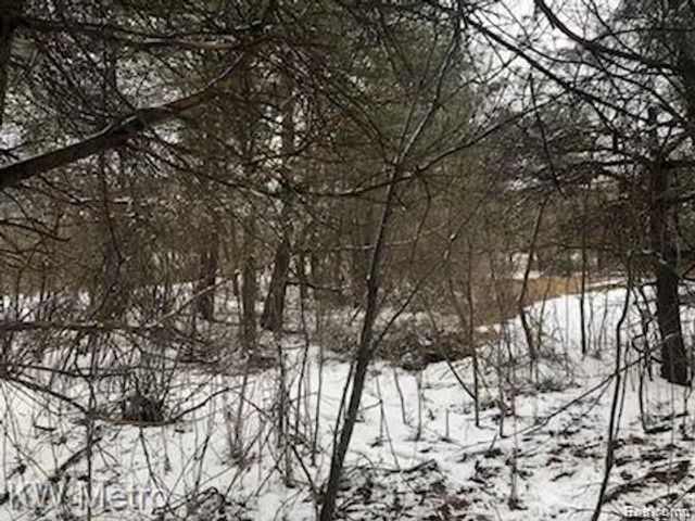 1135 N Baldwin Road, Brandon Charter Township, MI 48371