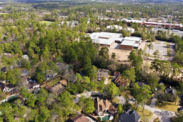 15 Hornsilver Place, The Woodlands, TX 77381