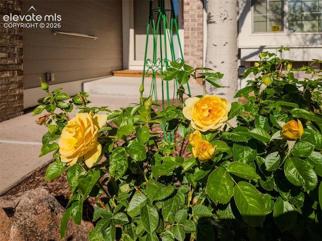 865 Piros Drive, Colorado Springs, CO 80922