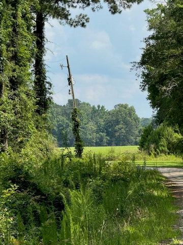 00 Bluebird Trail, Saint George, SC 29477