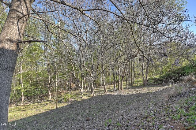 4148 Skyland Drive, Kingsport, TN 37664