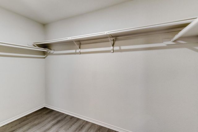 298 Fall DR, Kyle, TX 78640