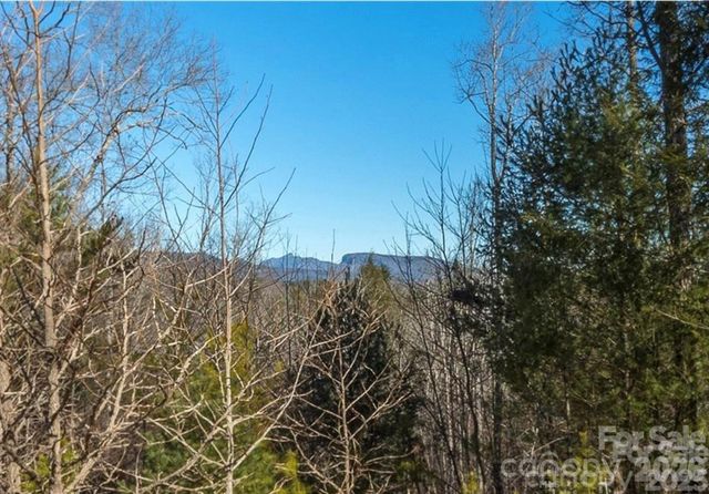 35-12 Sycamore Drive 35-12, Nebo, NC 28761