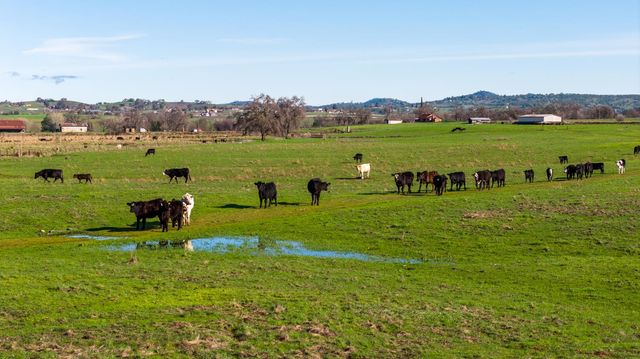 4873 Gladding Rd, Lincoln, CA 95648